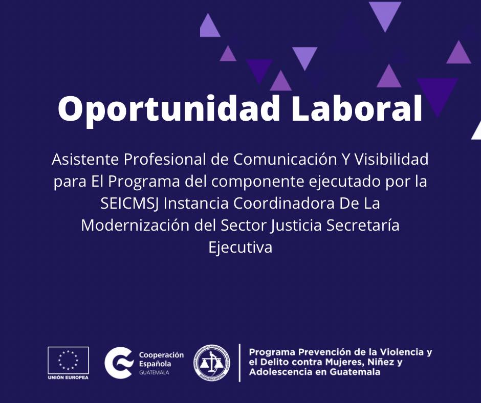 Asistente Profesional de Comunicación y Visibilidad -Programa PREVI