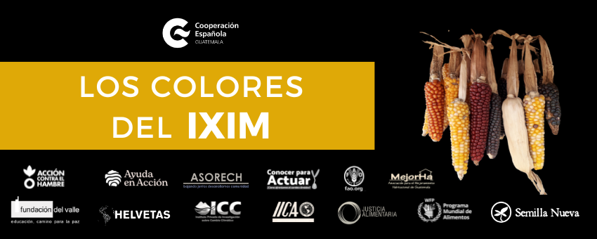 Los Colores del IXIM – Reflexiones y diálogo de saberes sobre maíz, cosmovisión y derecho a la alimentación en Guatemala