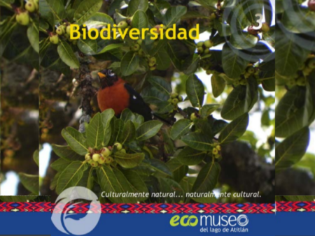 Biodiversidad maravillosa